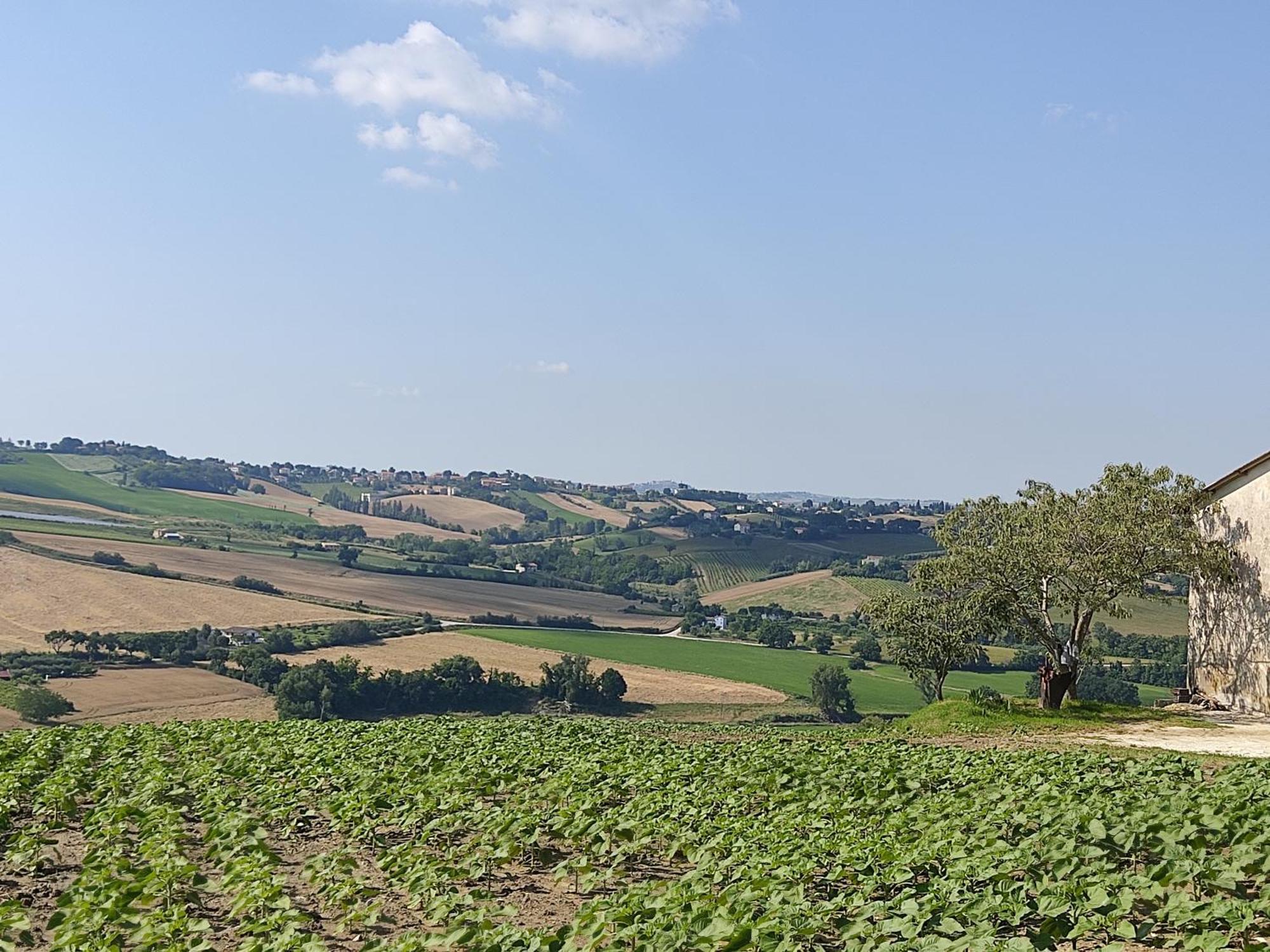 Casa Borgo Fonte Villa Castelleone di Suasa ภายนอก รูปภาพ