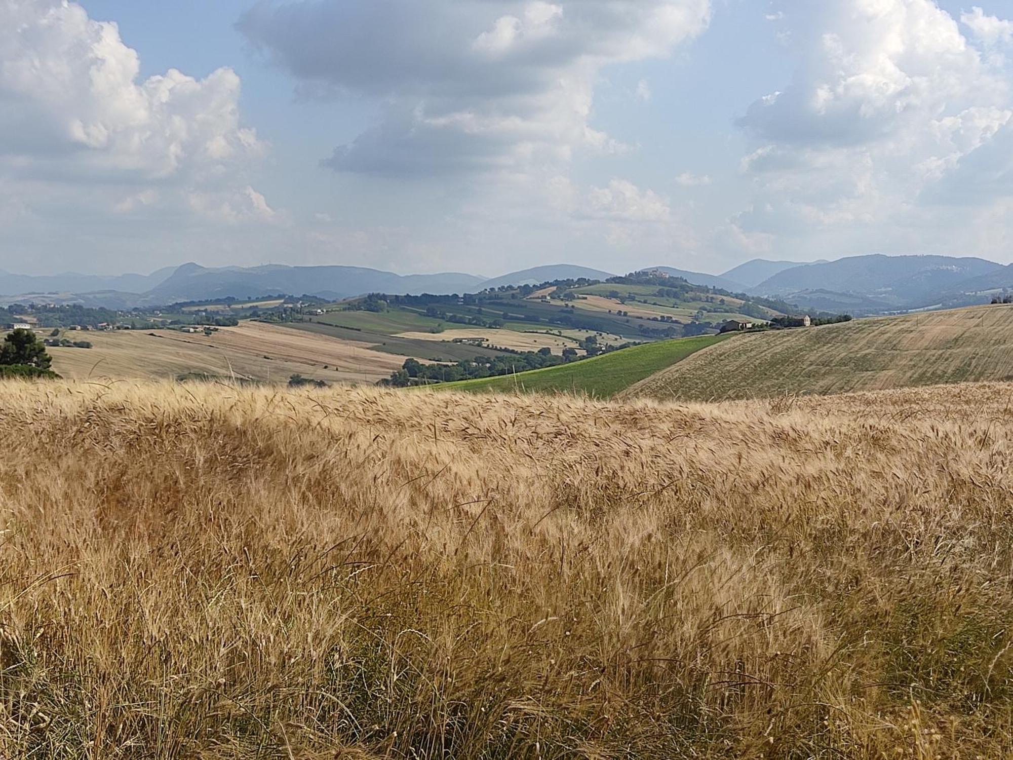 Casa Borgo Fonte Villa Castelleone di Suasa ภายนอก รูปภาพ