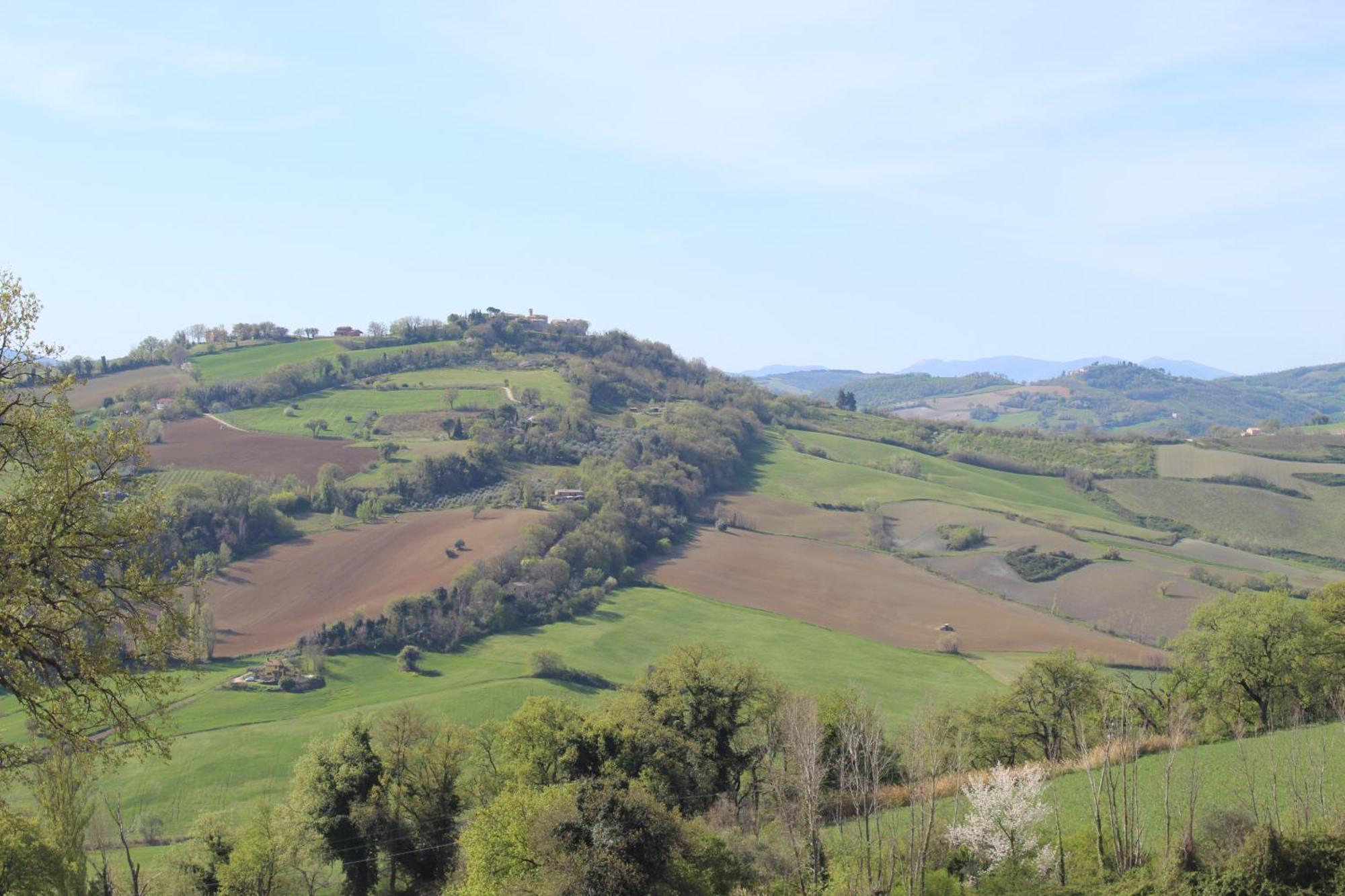 Casa Borgo Fonte Villa Castelleone di Suasa ภายนอก รูปภาพ