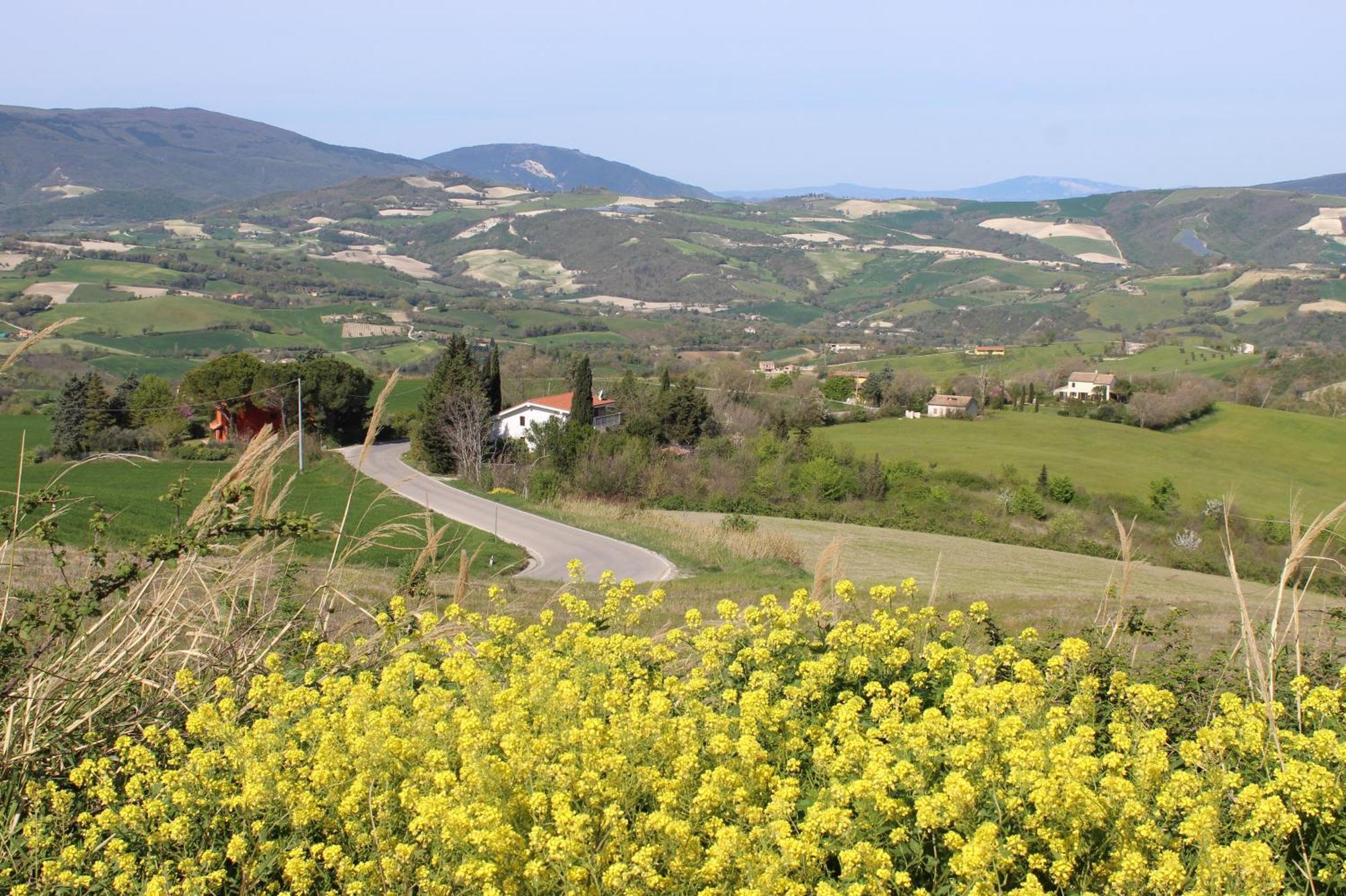 Casa Borgo Fonte Villa Castelleone di Suasa ภายนอก รูปภาพ